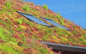 Herringthorpe living roof systems